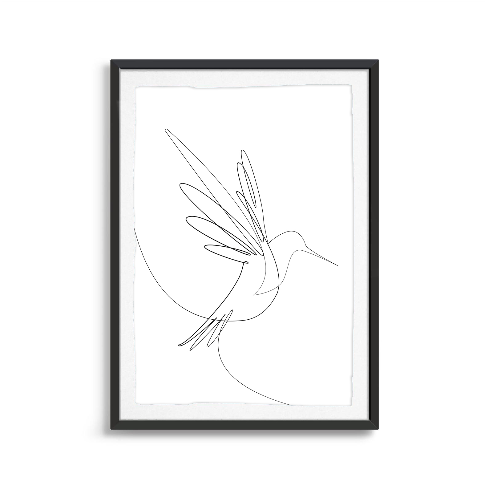 Humming Bird line art digital art print