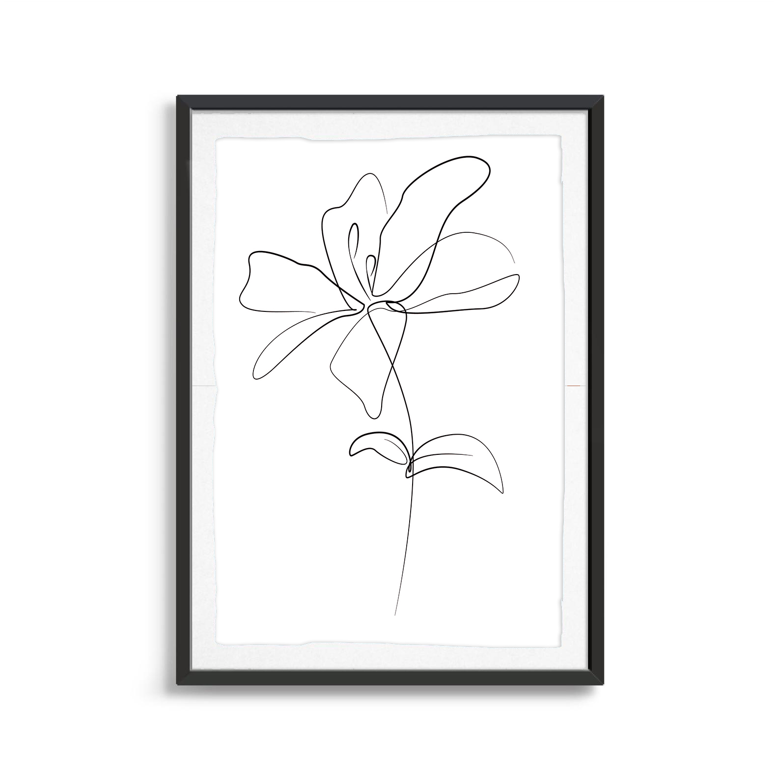 Lily line art digital art print